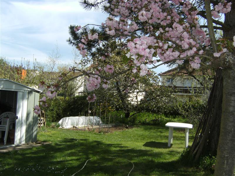 Jardin 1.JPG