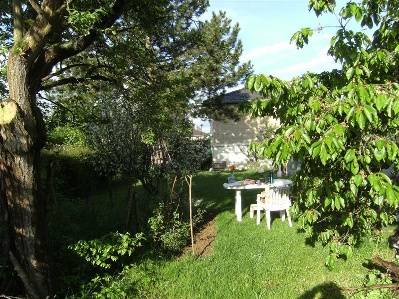 Jardin 3.JPG