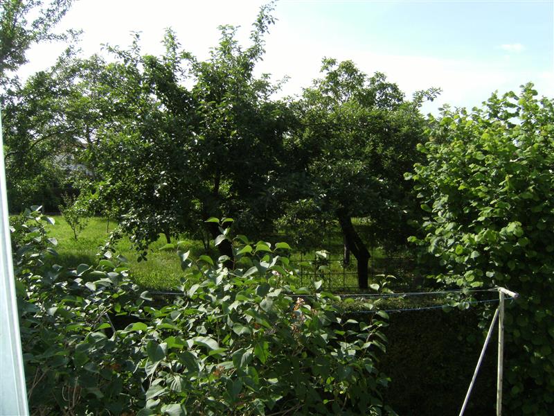 Vue chambre sud.JPG